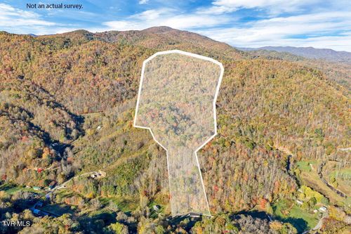 Tbd Hogum Hollow Rd, Roan Mountain, TN, 37687 | Card Image