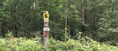 00 River Highlands, Mills Township, MI, 48756 | Card Image