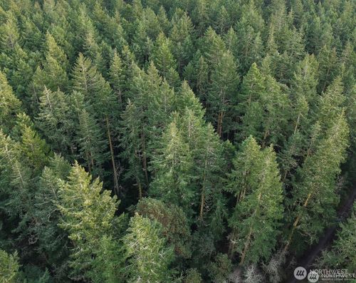 927 Bell St, Port Townsend, WA, 98368 | Card Image