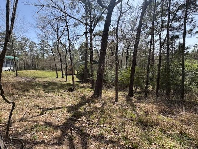 312 Waterview Dr, Home with 0 bedrooms, 0 bathrooms and null parking in Trinity TX | Image 4