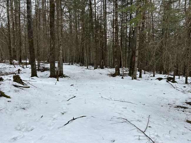743 Woodlawn Rd, House other with 2 bedrooms, 1 bathrooms and null parking in Pickerel WI | Image 58