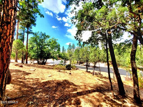 19-Lot 19 Strawberry Holw, Pine, AZ, 85544 | Card Image