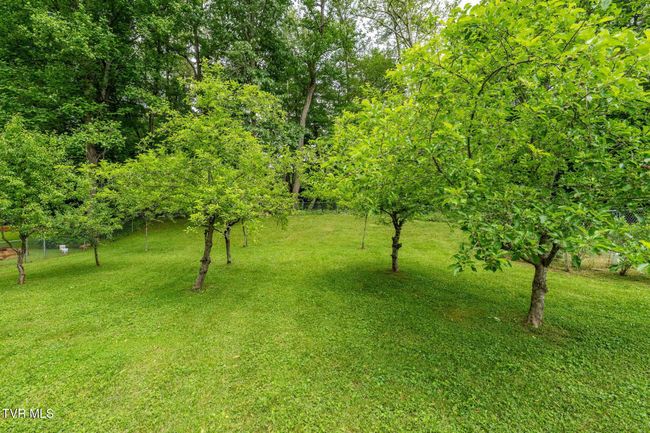 1867 Gentry Creek Rd, House other with 3 bedrooms, 2 bathrooms and null parking in Laurel Bloomery TN | Image 33