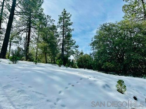 8 Saunders Mdws, Idyllwild, CA, 92549 | Card Image