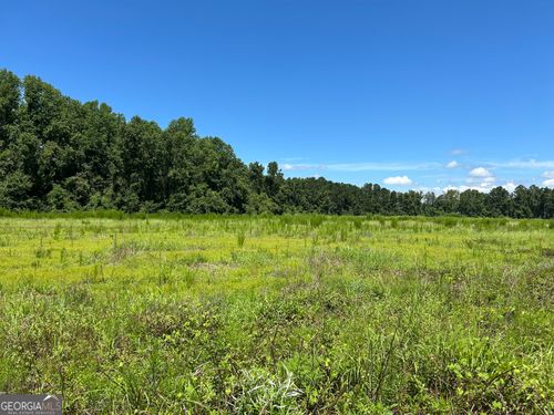 LOT 3 Cleary Rd, Brooklet, GA, 30415-7317 | Card Image