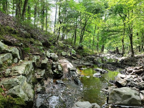 TBD Ebenezer Rd, Amity, AR, 71921 | Card Image