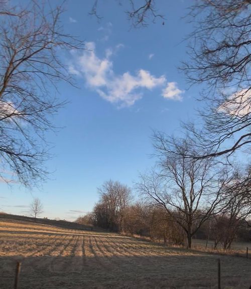 0 V/L E Mill, Hastings, MI, 49058 | Card Image