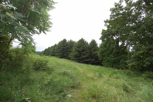 11 Eagle Cave Dr, MUSCODA, WI, 53573 | Card Image