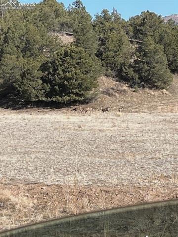 Land in Canon City 2