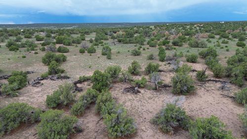 LOT 36 Arrow Ln, Quemado, NM, 87829 | Card Image