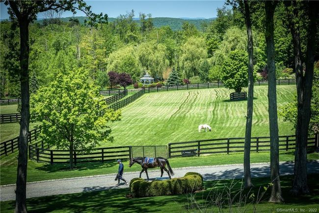 Paddocks | Image 34