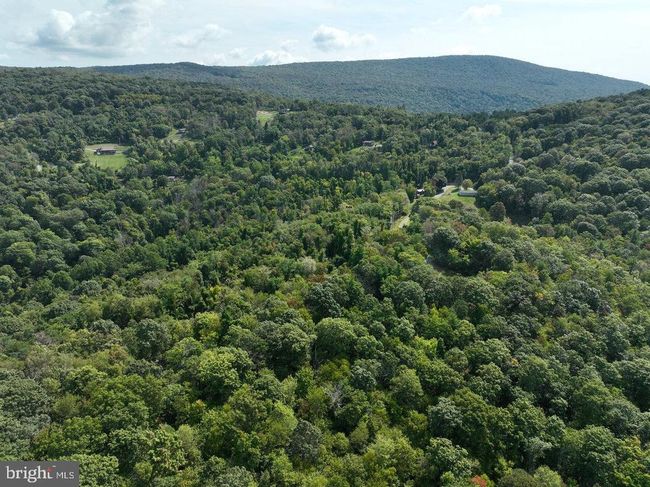 Lot 3 Price Ridge Rd, Home with 0 bedrooms, 0 bathrooms and null parking in STANLEY VA | Image 10