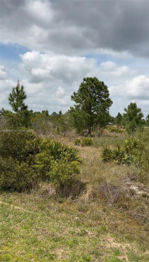 2458 W Butkus Rd, Avon Park, FL, 33825 | Card Image