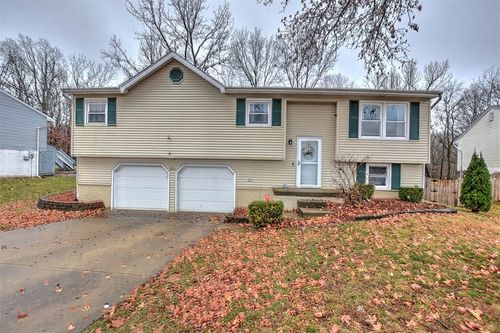 785 Whitetail Circle, Mt. Zion, IL, 62549 | Card Image