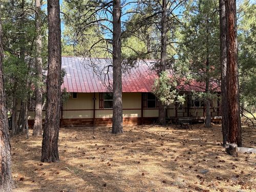 31 Munday Lane, Chama, NM, 87520 | Card Image