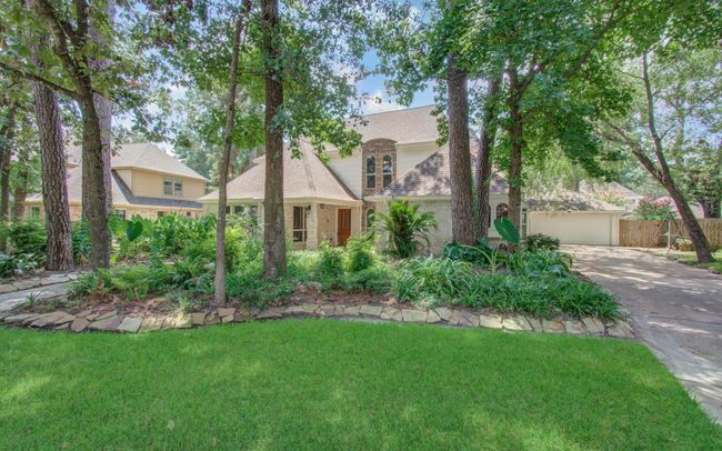 Wooded lot. | Image 5