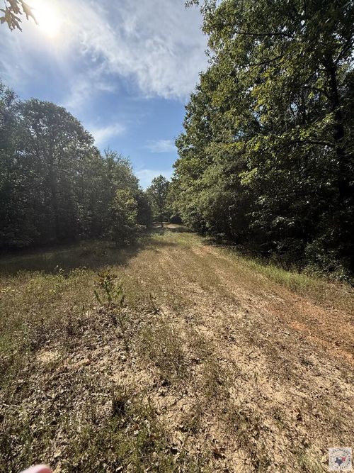 371 County Road 4266, Simms, TX, 75574-4385 | Card Image