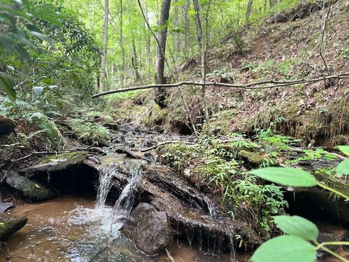 Lot 40 Wolf Creek Est, Mineral Bluff, GA, 30559-2091 | Card Image