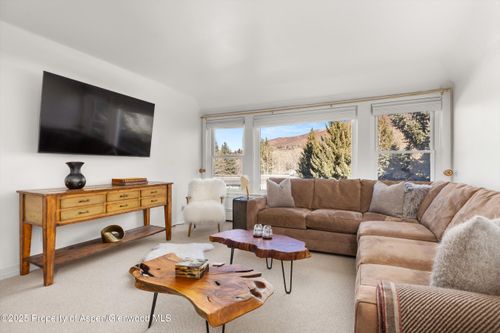 1041 Vine St, Aspen, CO, 81611-3271 | Card Image