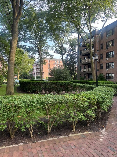 apt-3h-6 Birchwood Ct, Mineola, NY, 11501-4518 | Card Image