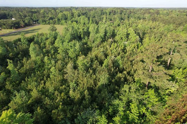 7 Old Pee Dee Rd., Home with 0 bedrooms, 0 bathrooms and null parking in Hemingway SC | Image 5