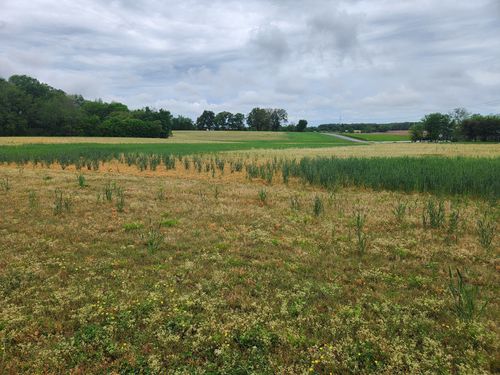 0 Fredonia Rd, Manchester, TN, 37355 | Card Image