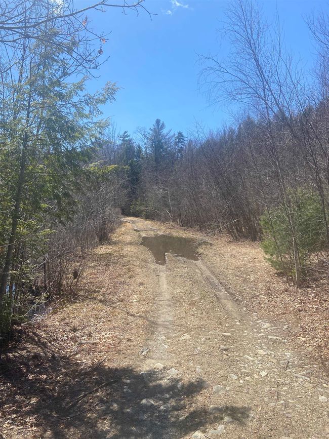 0 Teela Drive, Home with 0 bedrooms, 0 bathrooms and null parking in Sullivan NH | Image 8