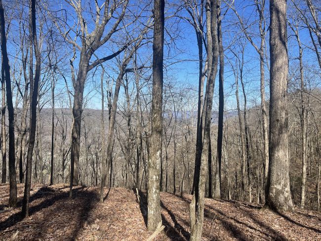 80 High Point Ln, Home with 0 bedrooms, 0 bathrooms and null parking in Jasper TN | Image 20