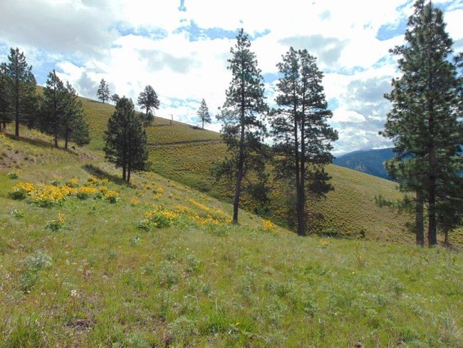 27235 Lazy Springs Rd, Home with 0 bedrooms, 0 bathrooms and null parking in Clinton MT | Image 87