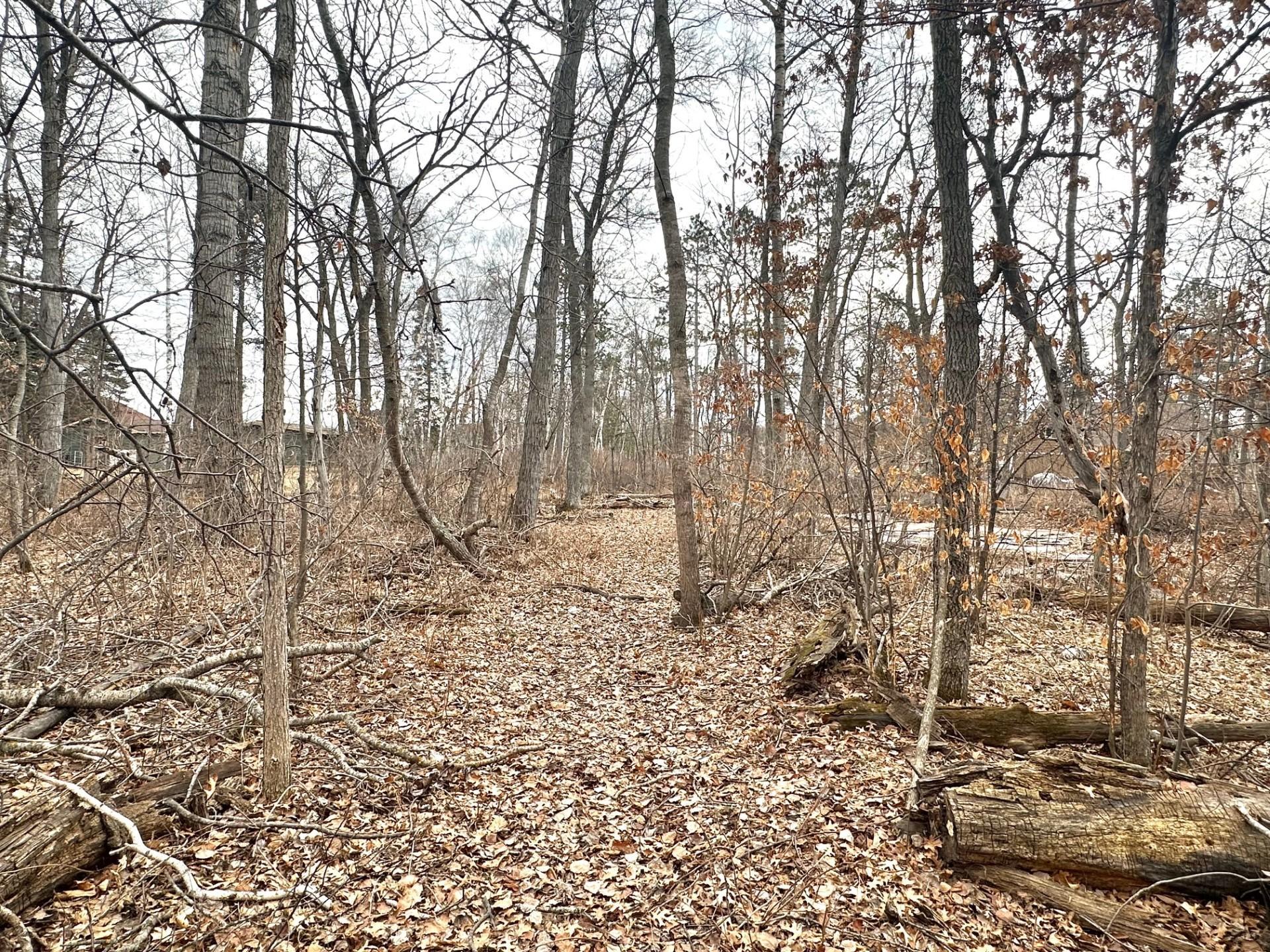 Land in Pequot Lakes 2