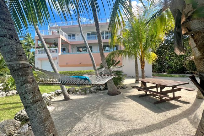 Hammock Time | Image 52