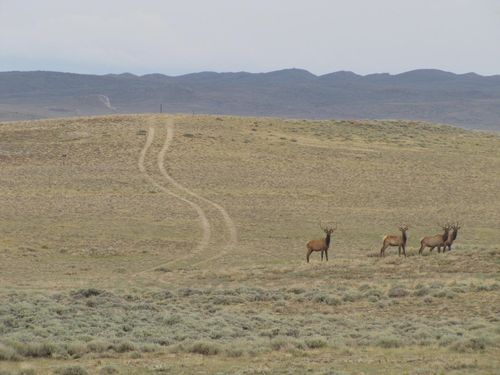 0 Shamrock Rd, Rawlins, WY, 82301 | Card Image
