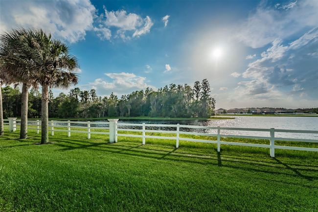 1236 Ketzal Dr, House other with 5 bedrooms, 3 bathrooms and null parking in TRINITY FL | Image 38
