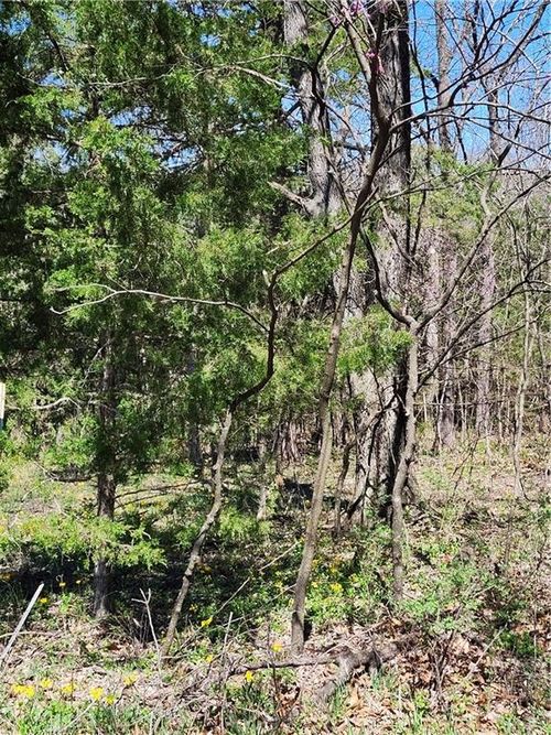 187 Wilderness Trail, Linn Valley, KS, 66040 | Card Image