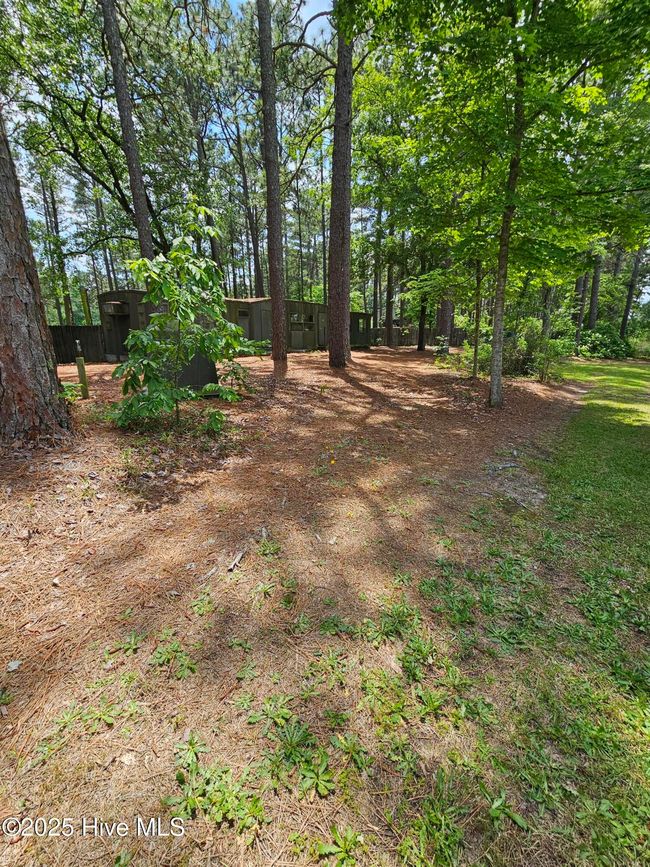 181 Joel Rd, Home with 0 bedrooms, 0 bathrooms and null parking in Carthage NC | Image 23