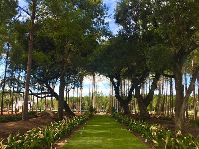 SC HELIX PARK | Image 37