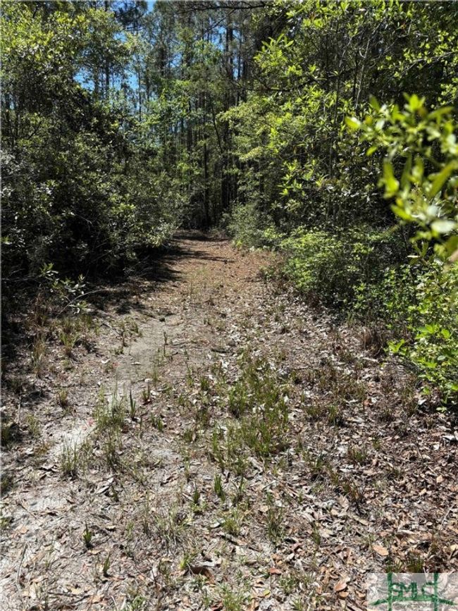 0 Stillwell Rd, Home with 0 bedrooms, 0 bathrooms and null parking in Springfield GA | Image 21