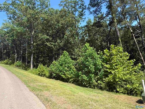 LOT 115 Boat House Dr, Guntersville, AL, 35976 | Card Image