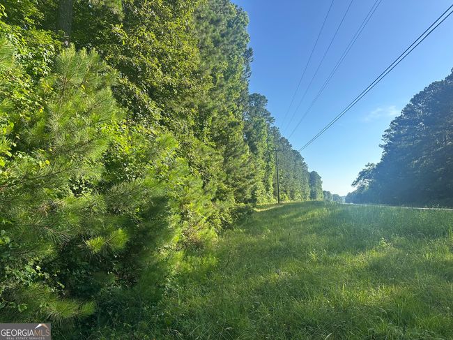 0 Highway 72 E, Home with 0 bedrooms, 0 bathrooms and null parking in Carlton GA | Image 16