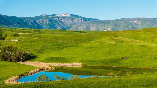 42 Shepards Road, Big Horn, WY, 82833 | Card Image