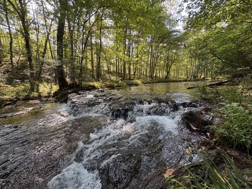 4715 S Forty Eight Creek Rd, Waynesboro, TN, 38485-5713 | Card Image