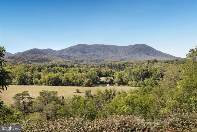 106 Crest River Dr, House other with 9 bedrooms, 10 bathrooms and null parking in Middletown VA | Image 7