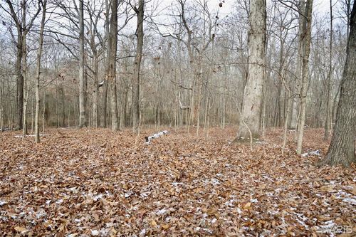 00 N Maysville Ln, Mount Vernon, IL, 62864 | Card Image