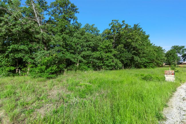 View of undeveloped land | Image 10