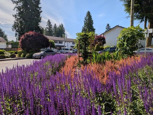 114-32880 Bevan Way, Abbotsford, BC, V2S6R3 | Card Image