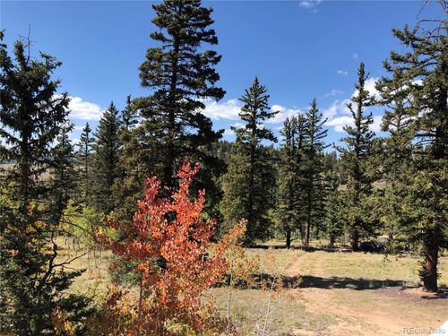 246 Chippewa Rd, Jefferson, CO, 80456 | Card Image