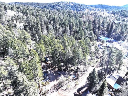 30929 Bear Cub Trail, Conifer, CO, 80433 | Card Image