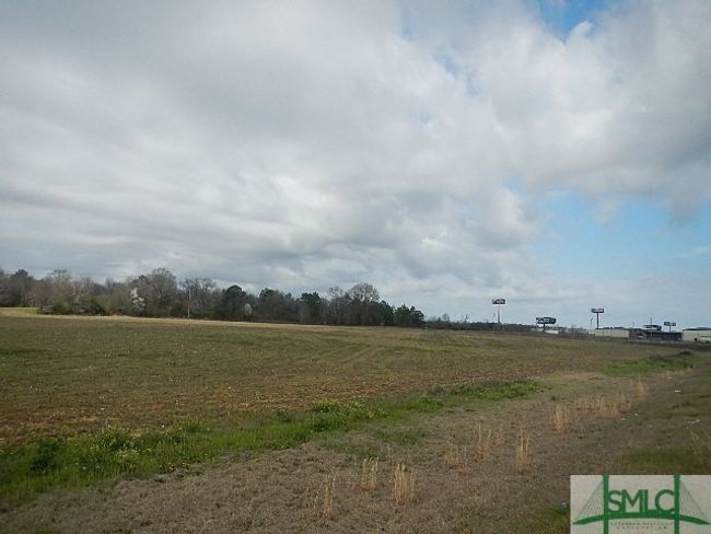 0 W White Rd, Home with 0 bedrooms, 0 bathrooms and null parking in Byron GA | Image 4