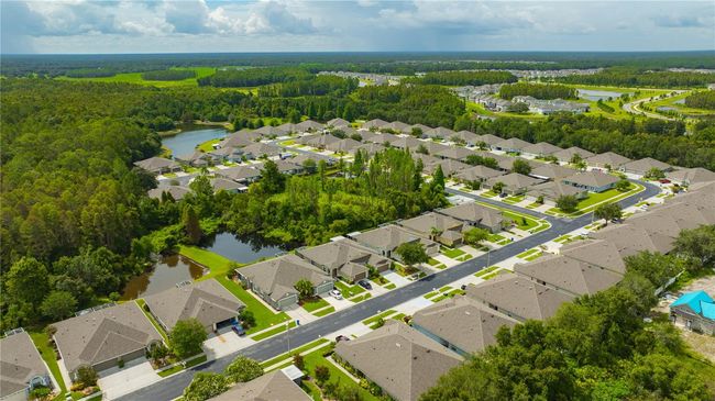 31940 Stillmeadow Dr, House other with 3 bedrooms, 2 bathrooms and null parking in WESLEY CHAPEL FL | Image 60