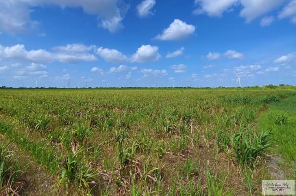 Land in Rio Hondo 2